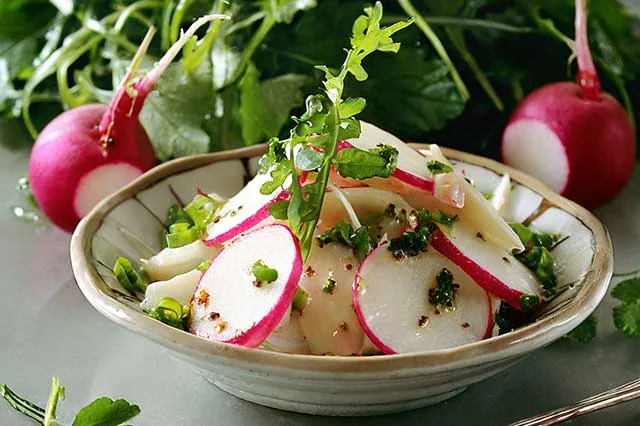 Firefly Salade de Radis et Cerfeuil assaisone 35235