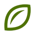 seed