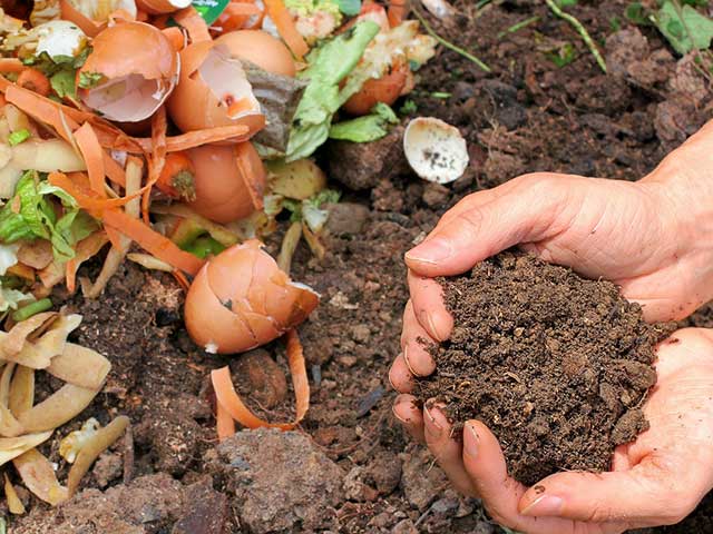 comprendre les besoins npk de vos legumes