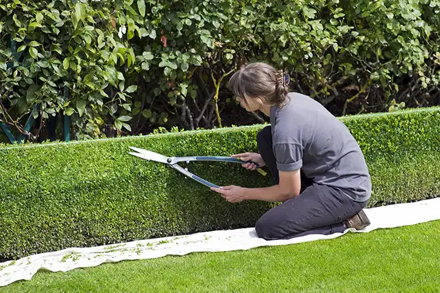 Un retour aux sources grâce à votre jardin