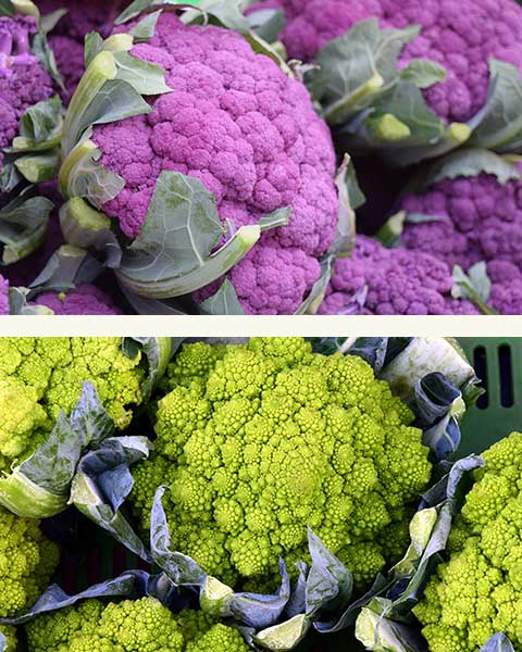choux fleurs varietes