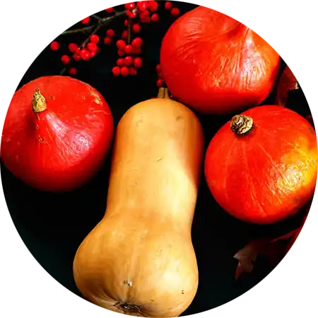 courges comment cultiver vignette
