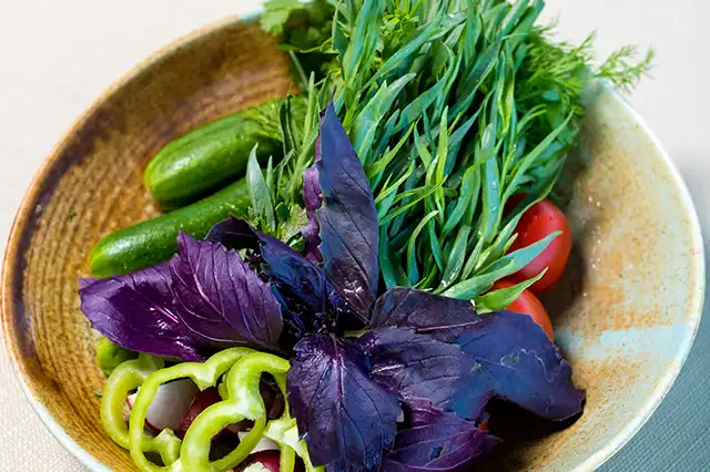 estragon en cuisine 02