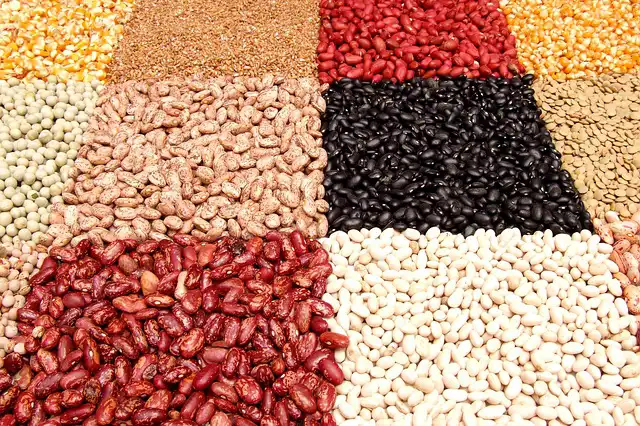 haricots varietes 02