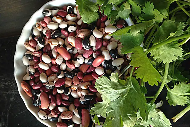 haricots varietes 06