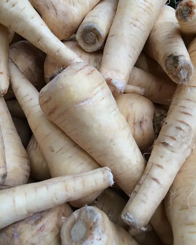 panais varietes