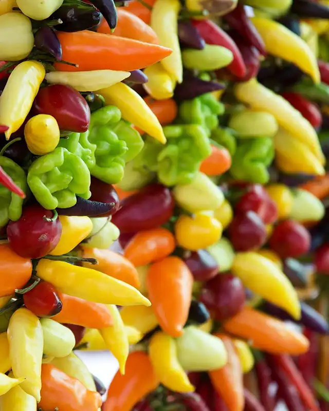 piments varietes