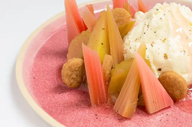 rhubarbe en cuisine 01