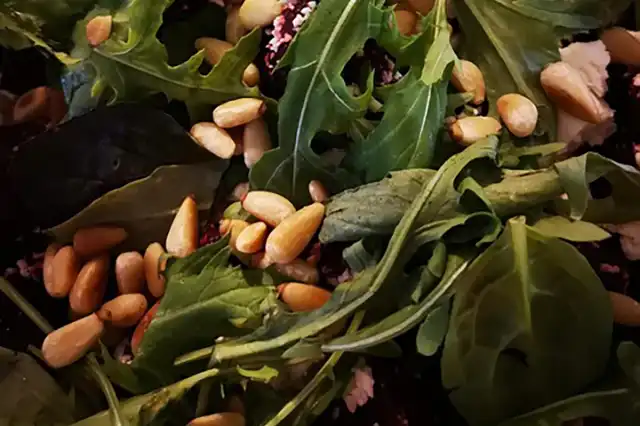 roquette en cuisine 02