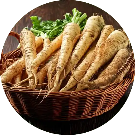 salsifis comment cultiver vignette