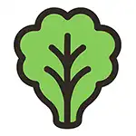 legumes feuille